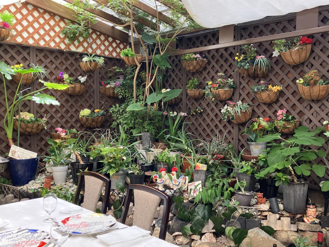 =シェモアの夏休みのお知らせ=
7月28日(月)〜8月8日(金)まで夏休みさせて頂きます。