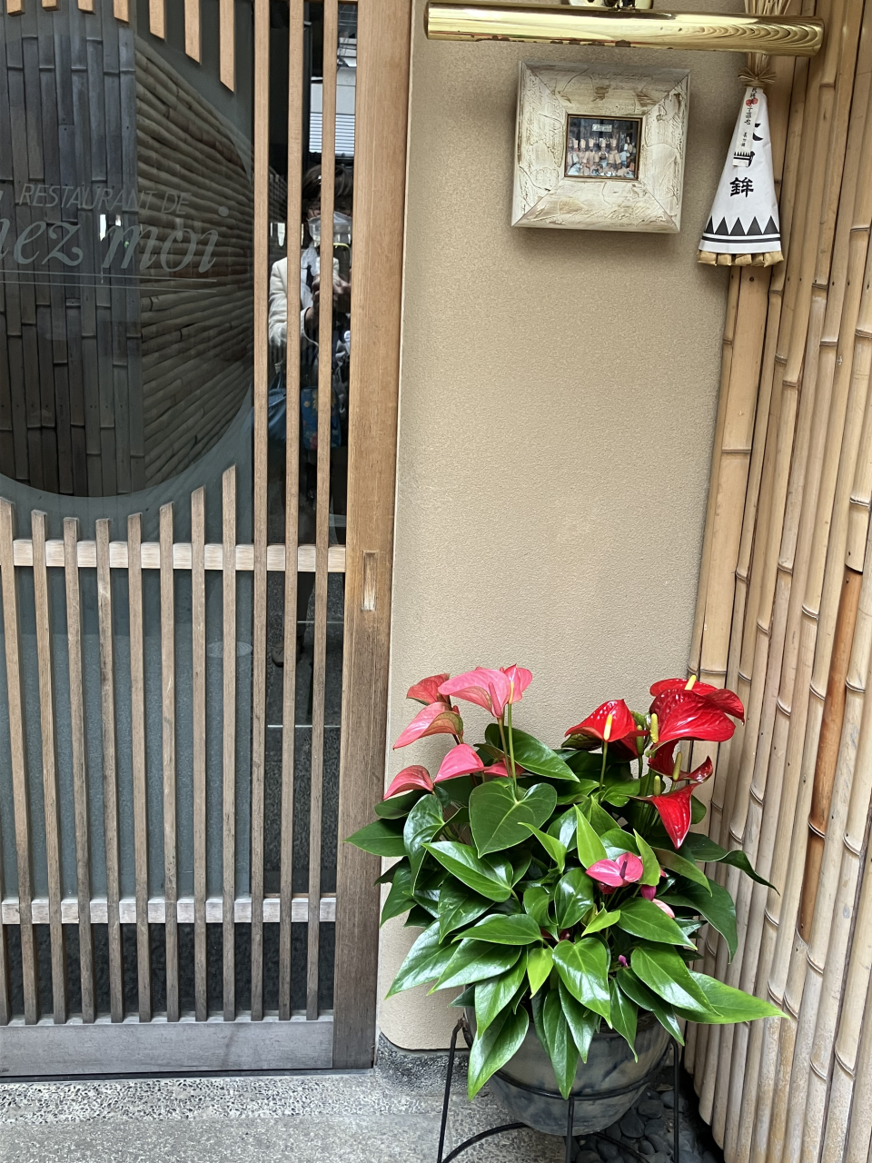 「のんちゃんのガーデニング」爽やかにアンスリウムにかわりましたい。